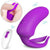 Danny couple vibrator with remote in the UAE