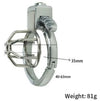 Open-cage chastity lock detail Dubai