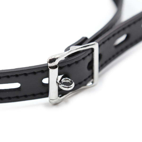 Adjustable Locking Ball Gag