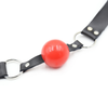 Adjustable Locking Ball Gag