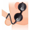 Double Steel Ball Inflatable Anal Plug