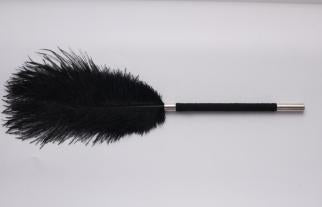 Feather Flirting Tickler