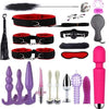 23-Piece BDSM Beginner's Bondage Set with Vibrator - Red & Purple