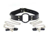Ball Gag Ring with Nipple Clamps
